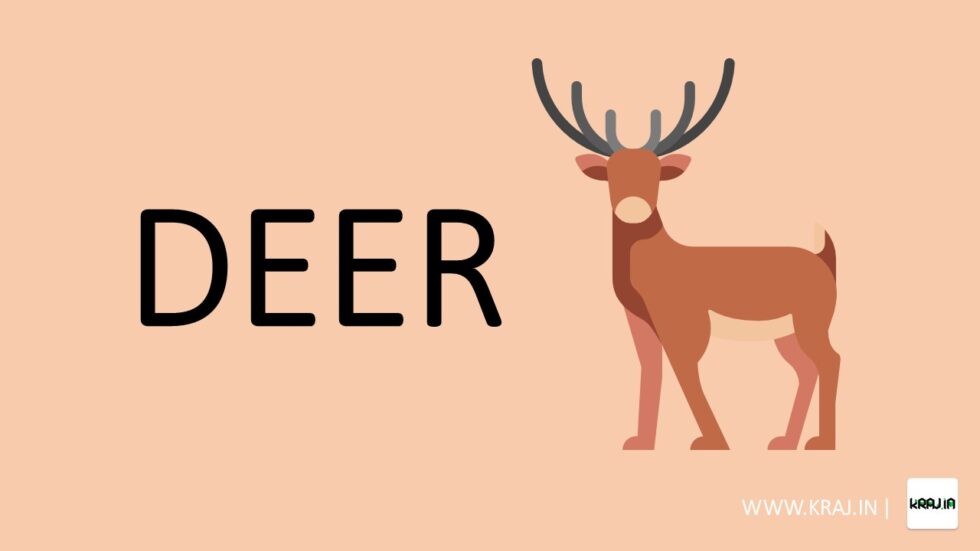 essay on deer in english